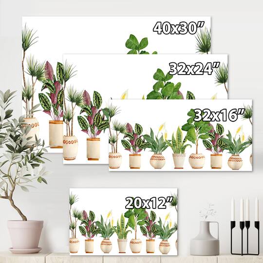 Designart - Trio of Houseplants Sanseviera Snake Plant